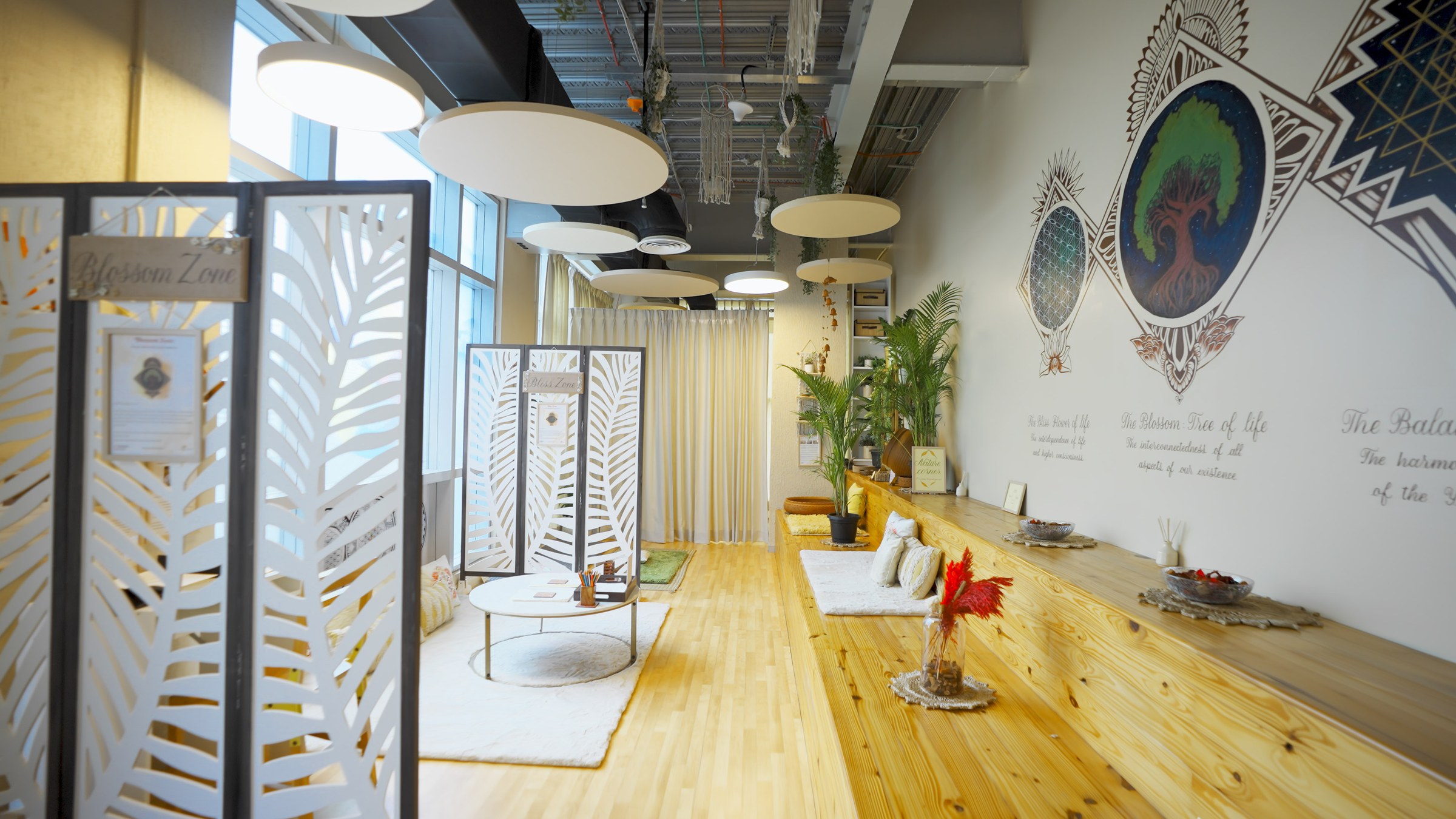 Zen Garden room, natural light, warm and cool zones visible